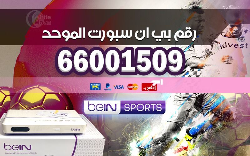 رقم بي ان سبورت الموحد